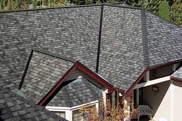 View All Roof Repair and Restoration Services